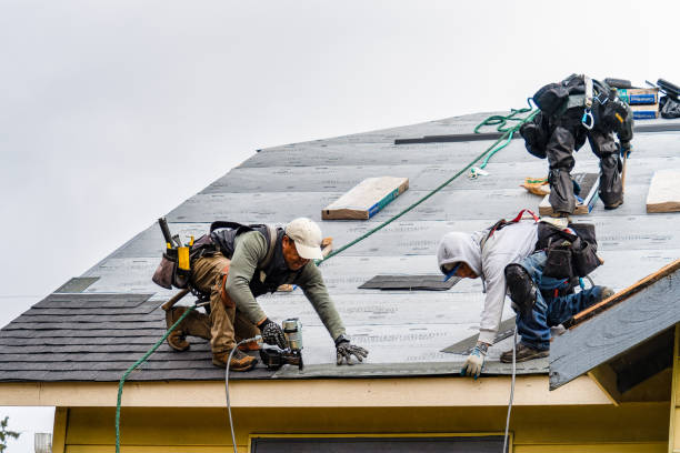 Professional Storm Damage Roof Repair technician working in Tarpon Springs, FL